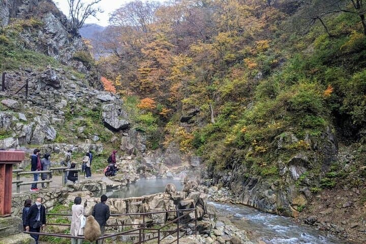 1-Day Private Snow Monkey ZenkoJi Temple & SakeTasting NaganoTour — photo 7