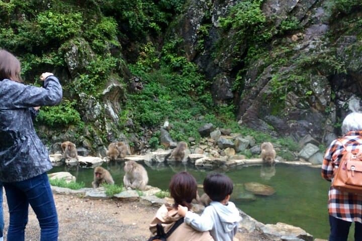 1-Day Private Snow Monkey ZenkoJi Temple & SakeTasting NaganoTour — photo 8