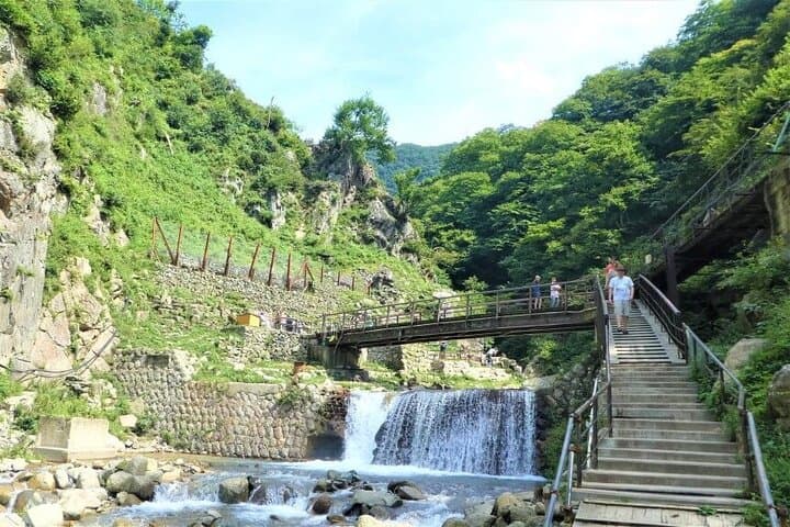 1-Day Private Snow Monkey ZenkoJi Temple & SakeTasting NaganoTour — photo 9