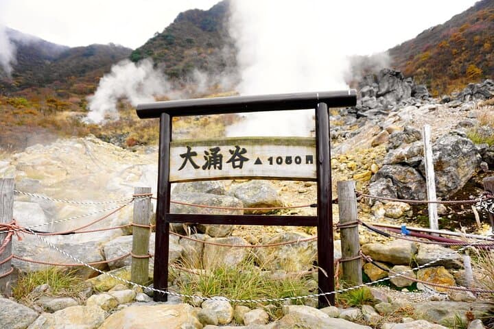 Tokyo: Hakone Shrine, Owakudani & Gotemba Premium Outlet Day Tour — photo 7