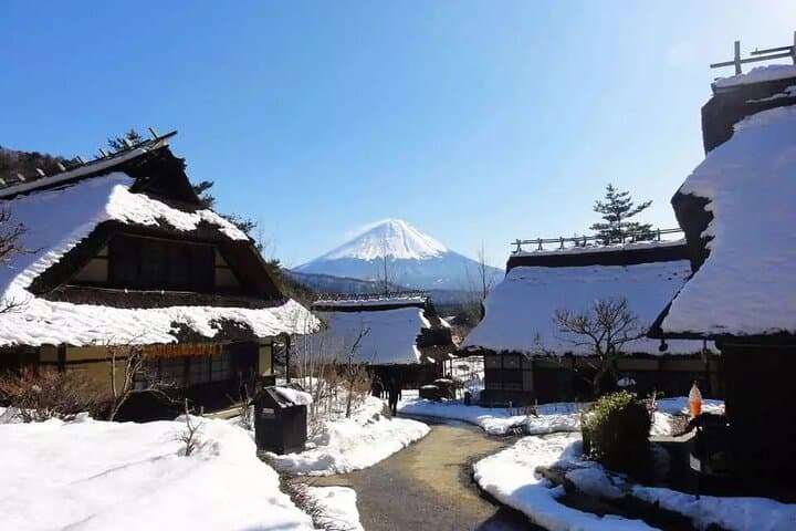 Mt.Fuji Tour: 3-Parks & The Healing Village in Fujiyoshida, Japan — photo 5