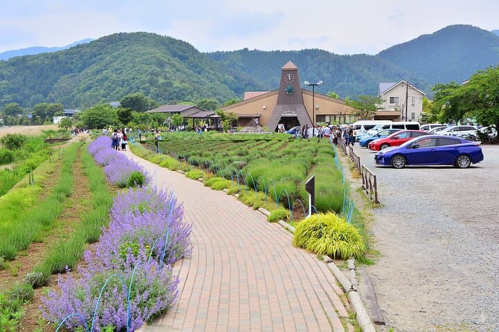 Mt.Fuji Tour: 3-Parks & The Healing Village in Fujiyoshida, Japan — photo 6