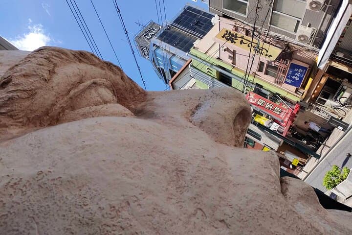 Ultimate Osaka Walking Tour: Castle, Dotonbori, Gems & Lunch — photo 10