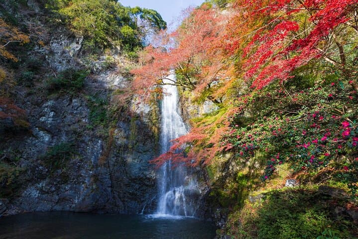 Nature Walk at Minoo Park, the Best Nature and Waterfall in Osaka — photo 20