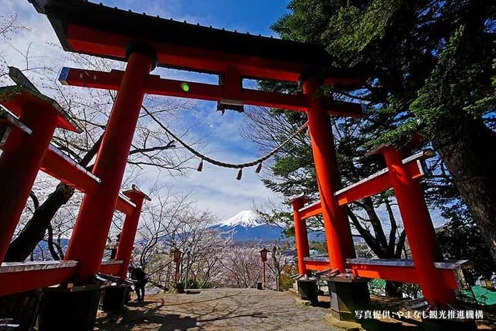 Mt. Fuji, Oishi Park & Arakurayama Pagoda Bus Tour with Lunch — photo 3