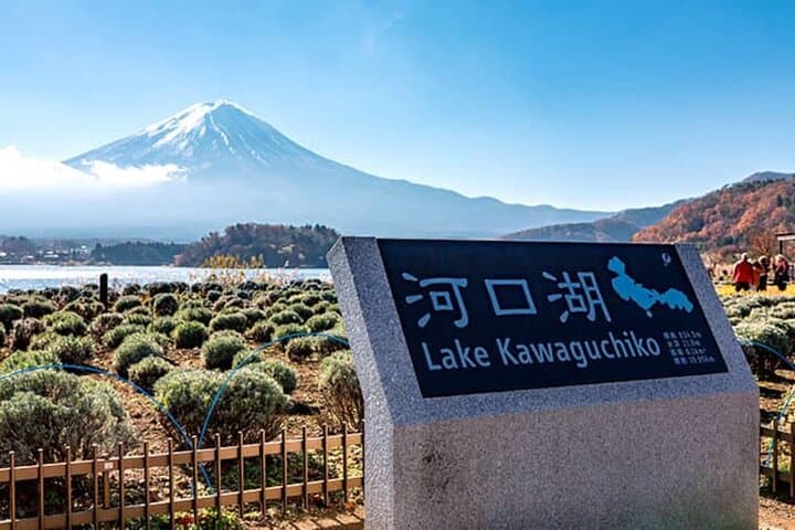 Lake Kawaguchi ⇔ Tokyo Bus Tickets — photo 13