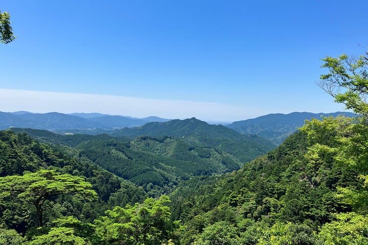 Explore Holy Mt Horaiji Private Tour — photo 9