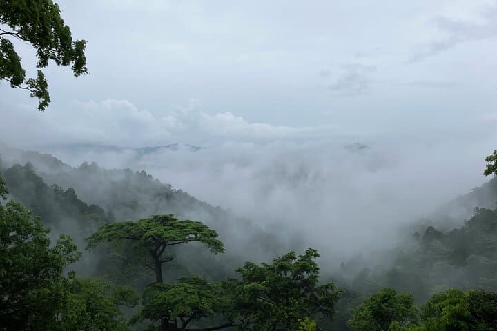 Explore Holy Mt Horaiji Private Tour — photo 13