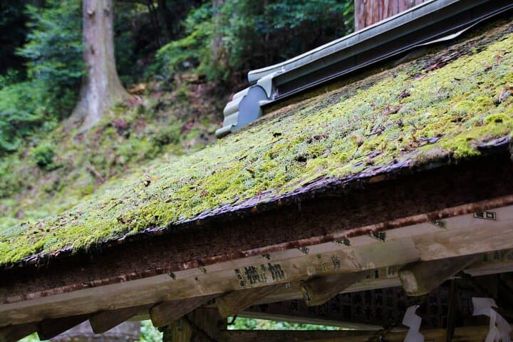 Explore Holy Mt Horaiji Private Tour — photo 12