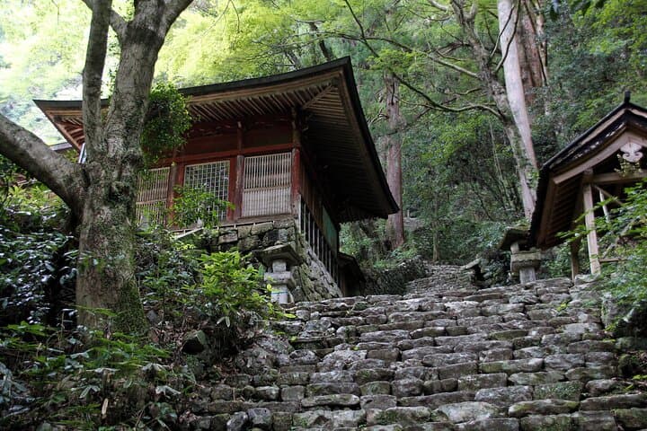 Explore Holy Mt Horaiji Private Tour — photo 10
