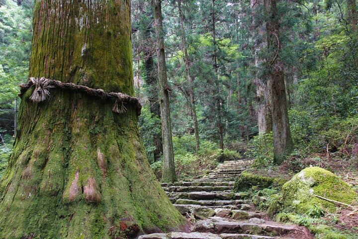 Explore Holy Mt Horaiji Private Tour — photo 11