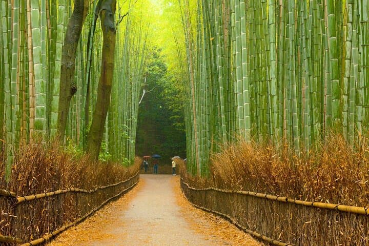 Arashiyama Highlights with Yuzen dyeing workshop — photo 18