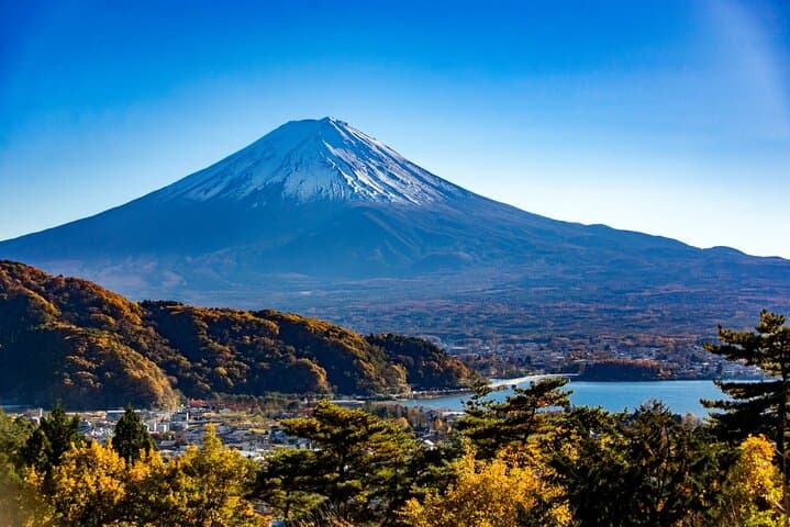 Lake Kawaguchi ⇔ Tokyo Bus Tickets — photo 11