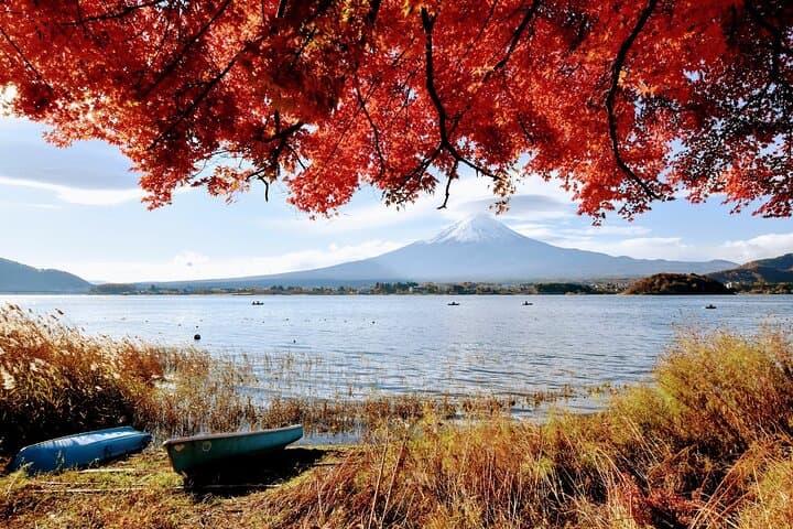 Mt Fuji Day Trip from Tokyo by Car with Photographer Guide — photo 7