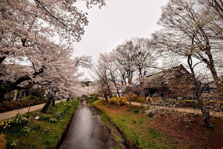 Mt Fuji Day Trip from Tokyo by Car with Photographer Guide — photo 2