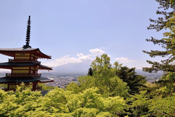 Mt Fuji Day Trip from Tokyo by Car with Photographer Guide — photo 3