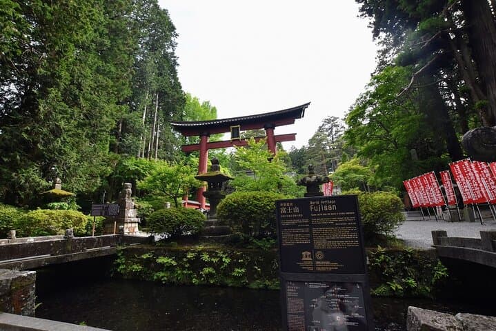 Mt Fuji Day Trip from Tokyo by Car with Photographer Guide — photo 4