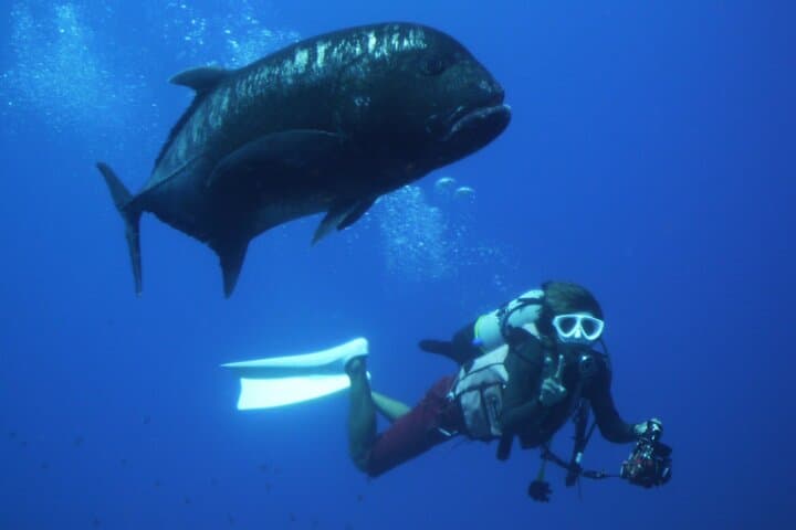 Okinawa: From Naha: 1 day Kerama Islands diving license required — photo 7