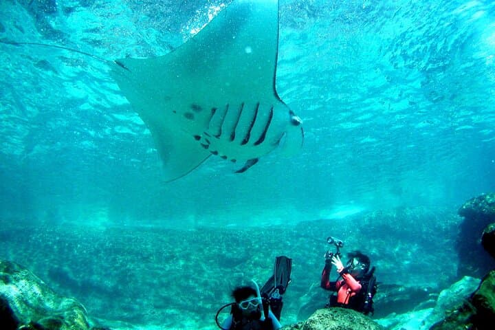 Okinawa: From Naha: 1 day Kerama Islands diving license required — photo 8