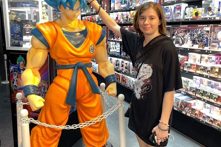 Akihabara Otaku Group Tour — photo 2