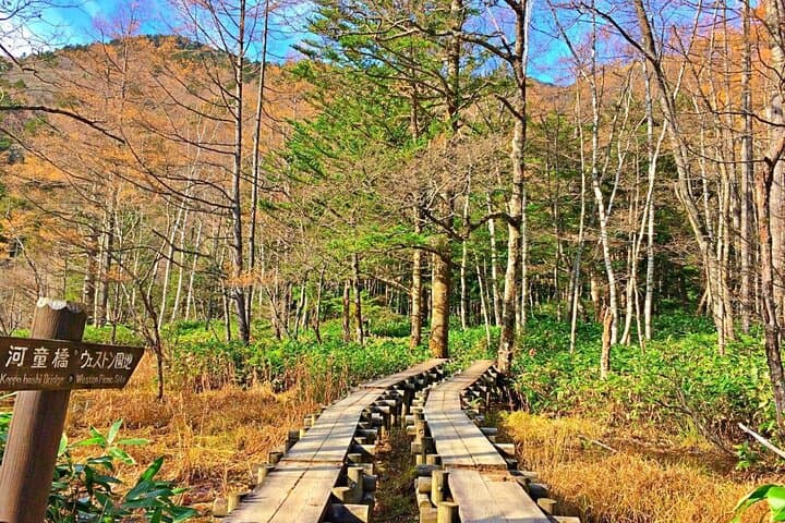 [From Nagano] Private 1-day Kamikochi & Matsumoto Tour — photo 4