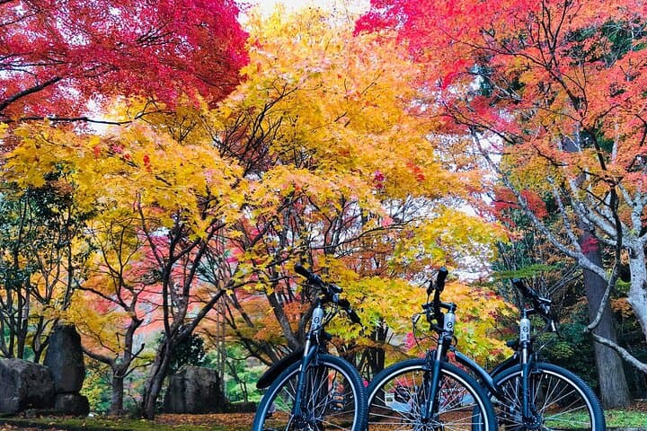Hiroshima Country Cycling: Explore Rural Life by E-Bike — photo 6