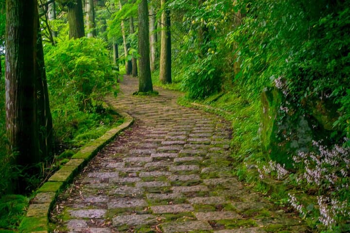 3 Day Japan Highlights Tour: Tokyo, Mt.Fuji, Nara, Kyoto, Osaka — photo 9