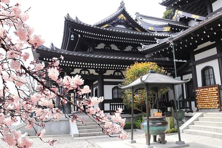 3 Day Japan Highlights Tour: Tokyo, Mt.Fuji, Nara, Kyoto, Osaka — photo 10