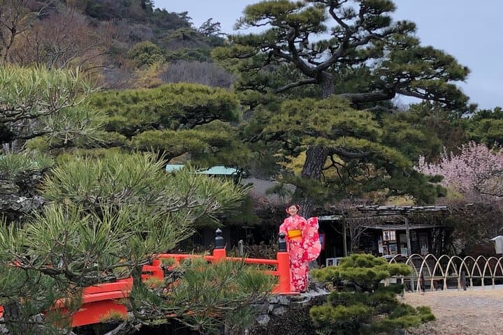 Japanese Style Room Tea Ceremony Class in Marugamemachi — photo 4