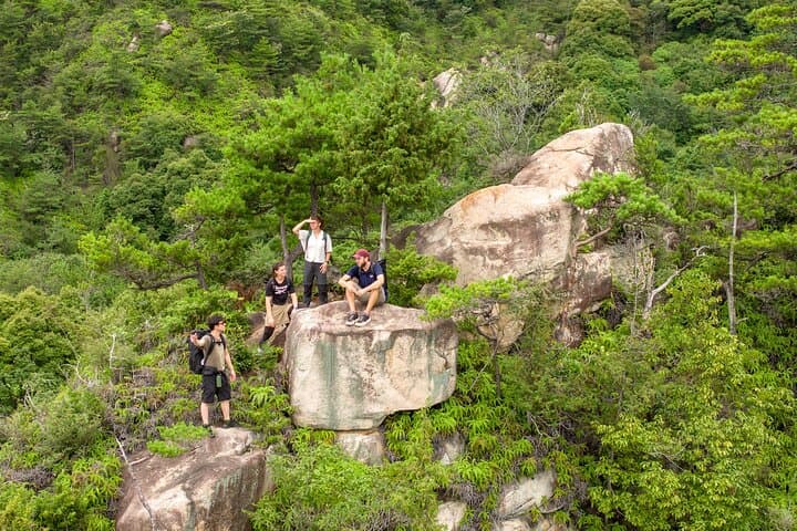 Miyajima Views & Oysters: Award-Winning Half-Day Hiking Tour — photo 2