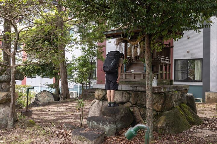 Miyajima Views & Oysters: Award-Winning Half-Day Hiking Tour — photo 8