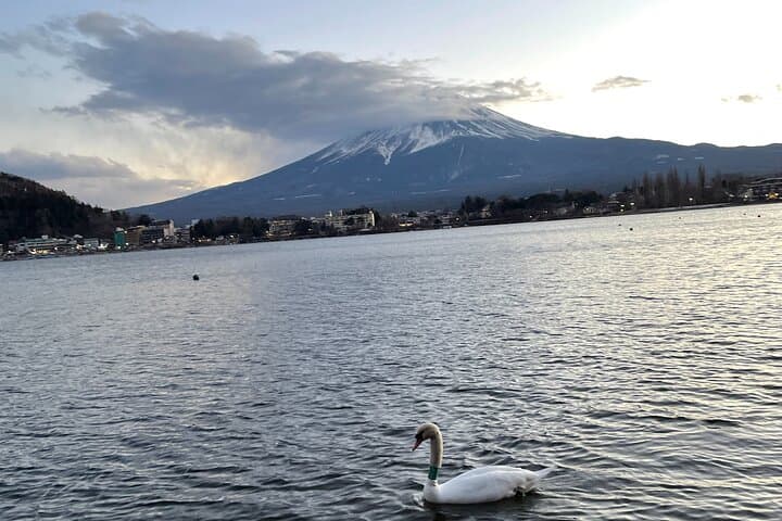 Kawaguchiko (Mt Fuji) Tour with Private Car — photo 6