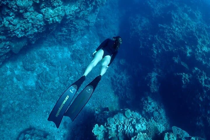 Small Group Diving Activity in Miyakojima — photo 9