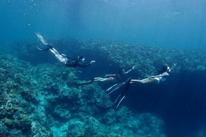 Small Group Diving Activity in Miyakojima — photo 12