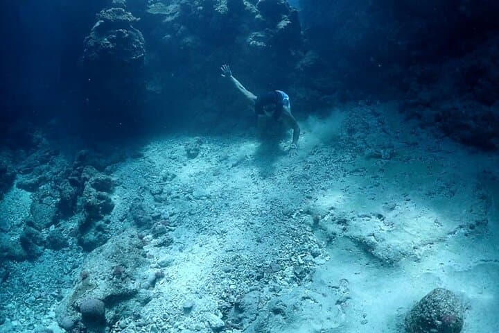 Small Group Diving Activity in Miyakojima — photo 11
