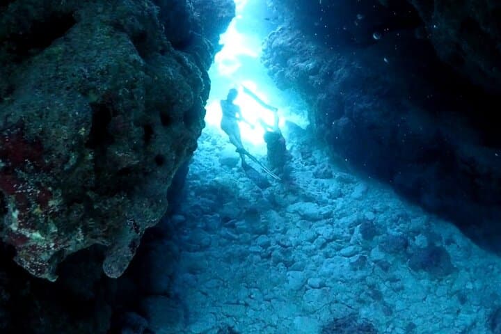 Small Group Diving Activity in Miyakojima — photo 15