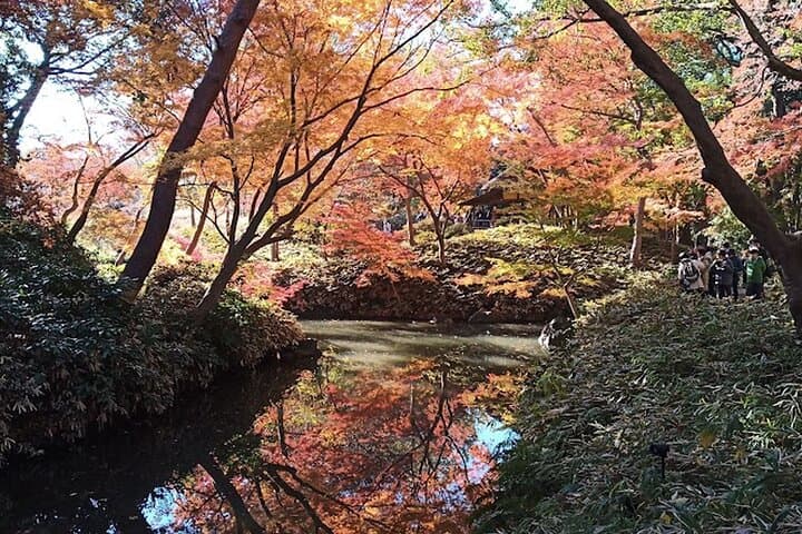 Private tour! Wash Bodhisattva and Explore Japanese Garden. — photo 12