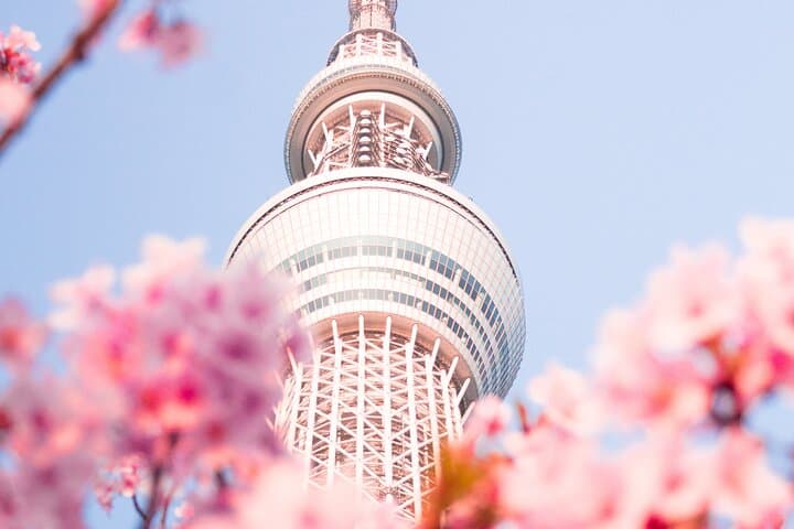 7 Hour Private Tour of Tokyo — photo 10
