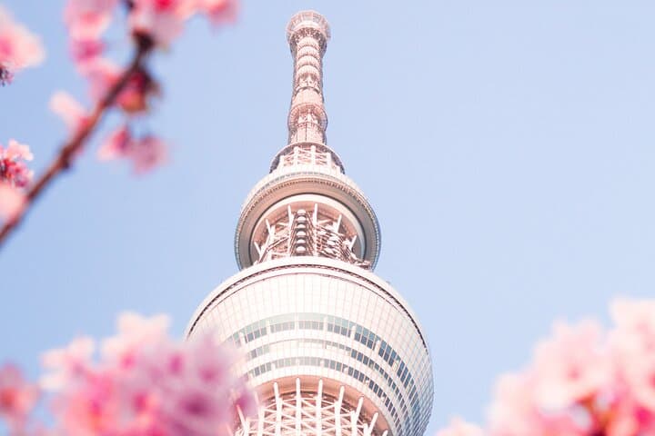 Private Round Trip Transfer from Haneda/Narita Airport to Tokyo. — photo 3