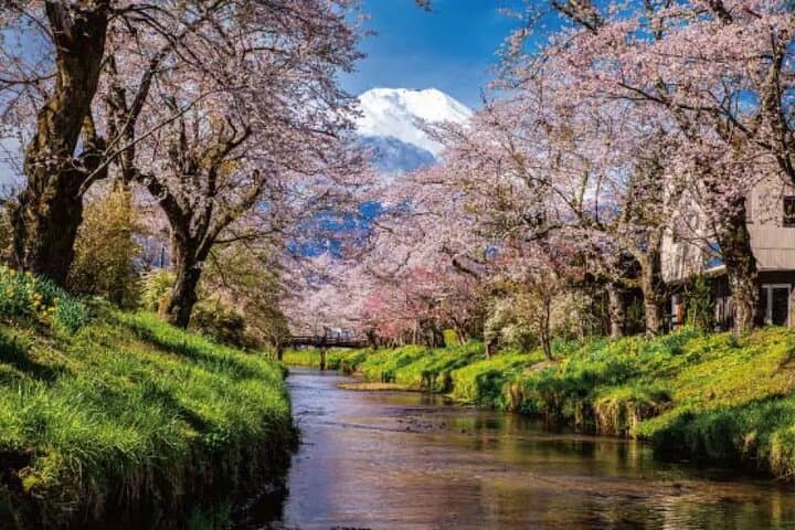 Mt. Fuji Roundtrip Tours From Shinjuku, Japan — photo 4