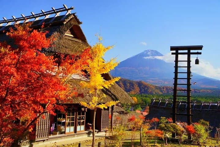 Mt. Fuji Roundtrip Tours From Shinjuku, Japan — photo 2