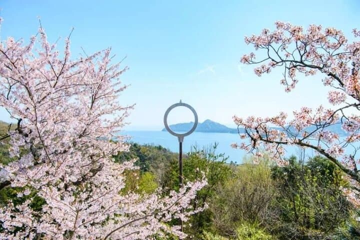 Amanohashidate & Ine Bay Day Tour with Cruise and Miyama Village — photo 2