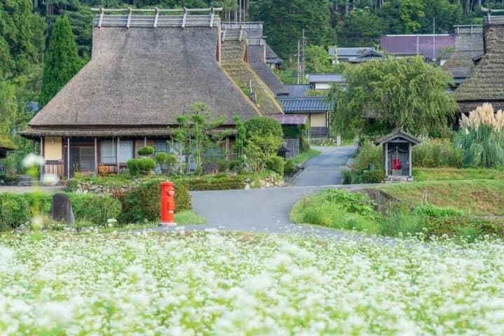 Amanohashidate & Ine Bay Day Tour with Cruise and Miyama Village — photo 5