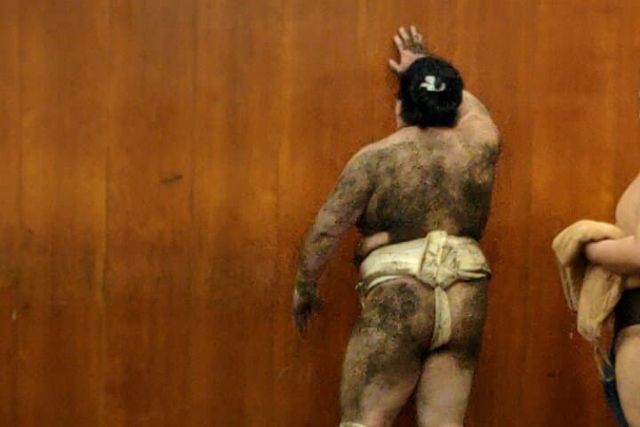 Sumo Training Watching Experience in Tokyo — photo 3