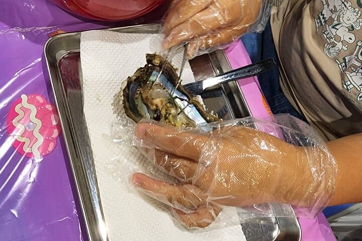 Experience Extracting Pearls From Akoya Oysters　osaka — photo 4