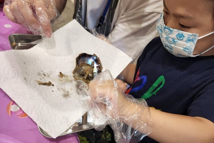 Experience Extracting Pearls From Akoya Oysters　osaka — photo 16