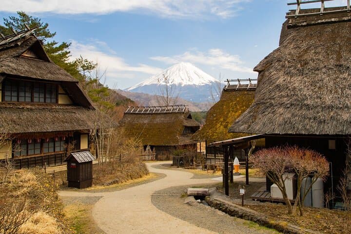 Full Day Private Tour of Mt Fuji and Hakone — photo 2