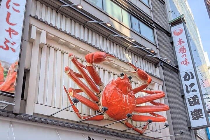 Osaka Bites & Sights Private food Tour in Dotonbori & Namba — photo 6