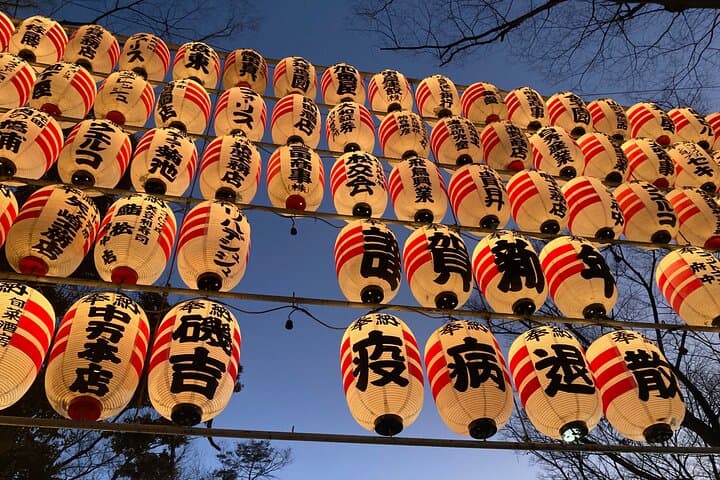 Walk Around Okunitama Shrine Private Tour in Tokyo — photo 5