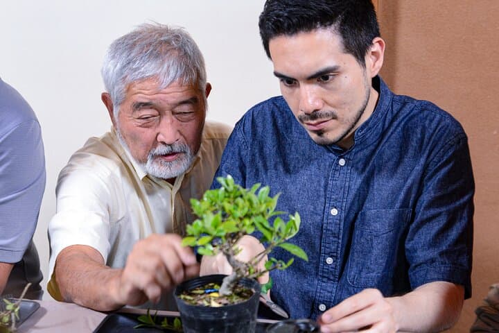 3Days-Bonsai & Sencha Tea Experience: Pastime of the Literati — photo 3